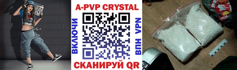 A PVP СК  Пушкино 