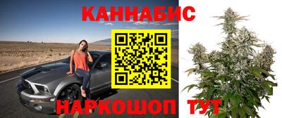 соль ск Обь