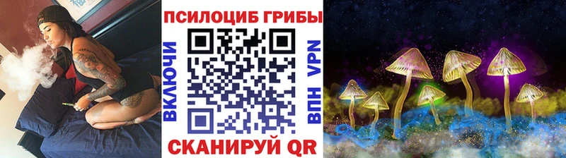 Псилоцибиновые грибы прущие грибы  Пушкино 
