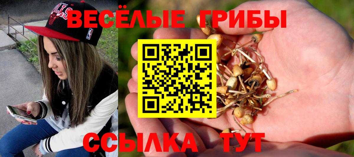 Псилоцибиновые грибы мухоморы Пушкино